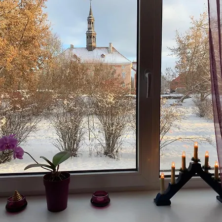 Town Hall View Narva